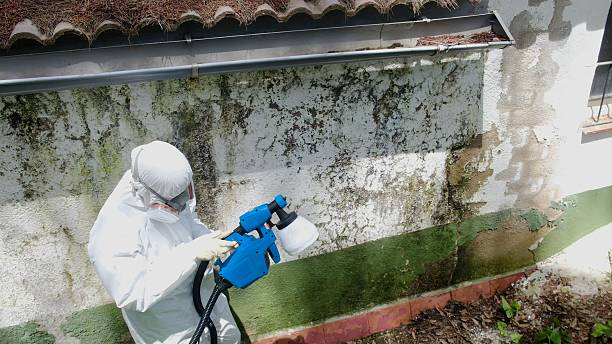 Mold Removal service in Glenn Dale